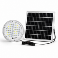 FOSVEX 100W Remote Control Solar Hanging Light