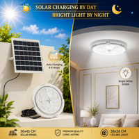FOSVEX 200W Solar Ceiling Zumer Light with Remote Control