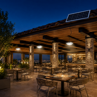 FOSVEX 100W Remote Control Solar Hanging Light