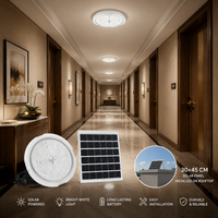 FOSVEX 200W Solar Ceiling Zumer Light with Remote Control