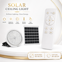 FOSVEX 200W Solar Ceiling Zumer Light with Remote Control